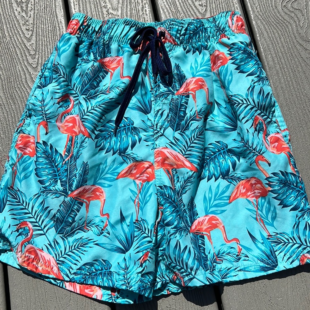 Flamingo swim trunks